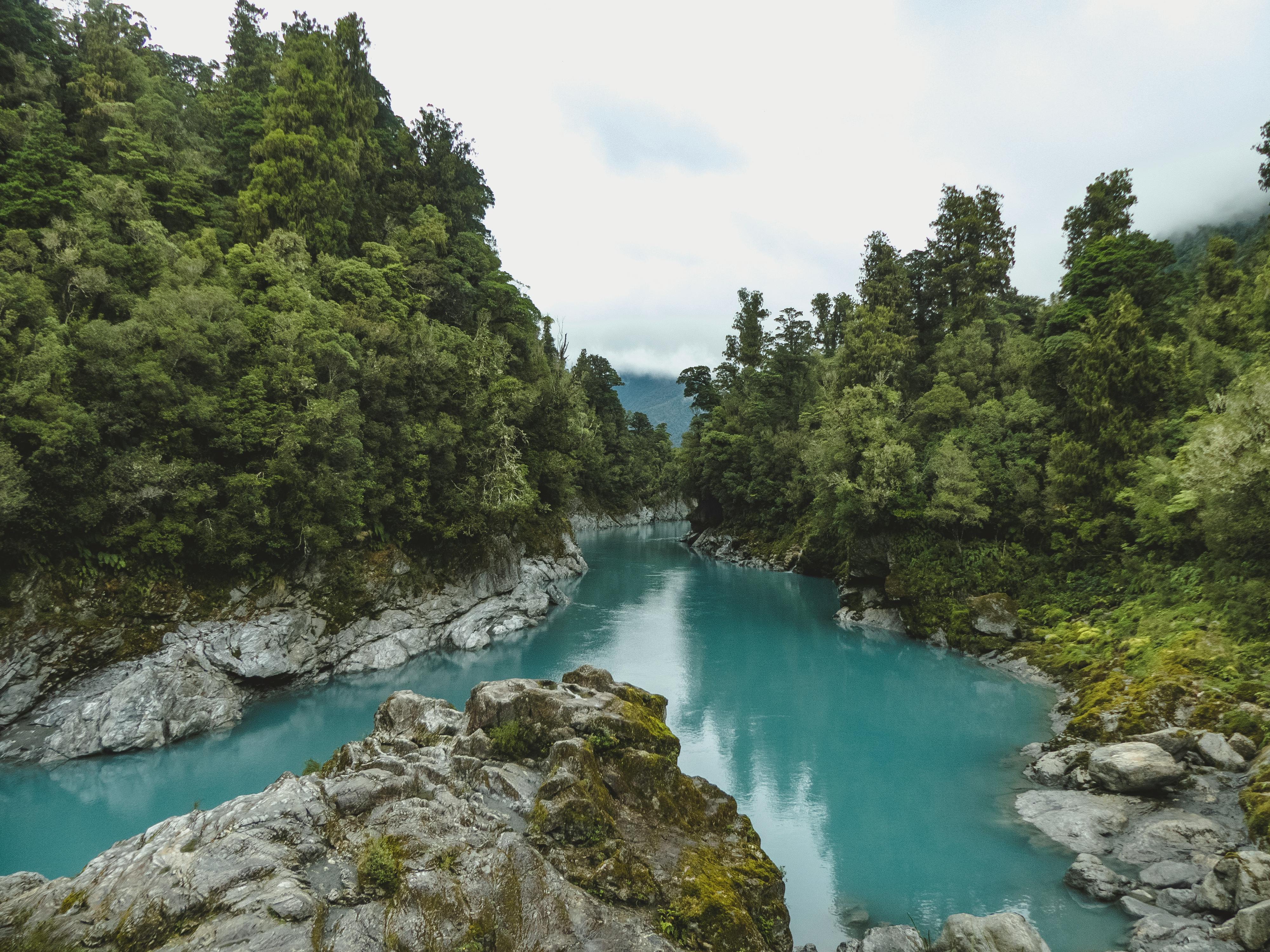 New Zealand in December
