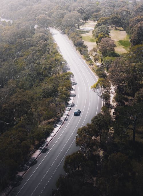 Foto d'estoc gratuïta de arbres verds, autopista, carretera