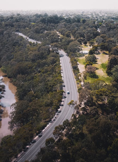 Free Drone Shot of a Road Between Trees Stock Photo