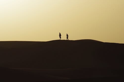 Silhouette of Two People Walking on the Desert 