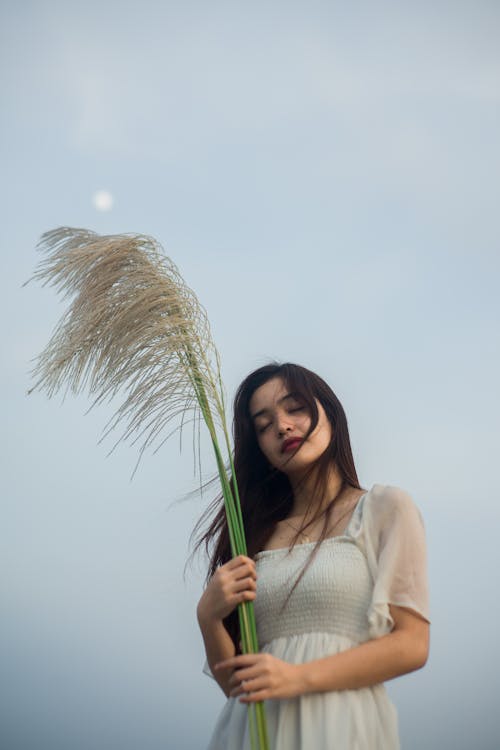 Free Asian woman with dried plant under light sky Stock Photo