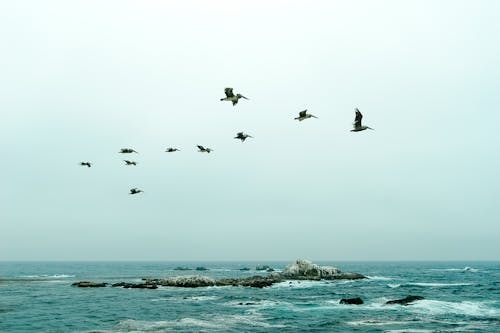 Free stock photo of formation, no people, no person