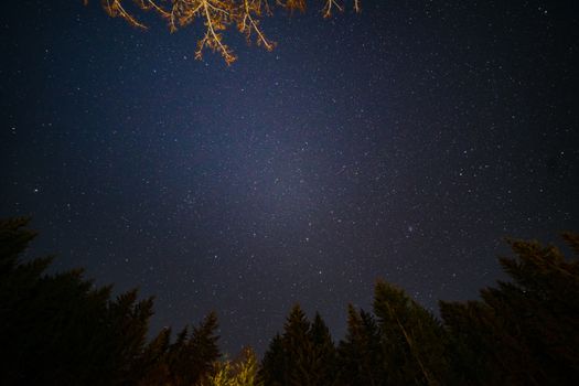 广阔的星空上，轮廓树分散着星座