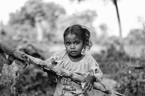 Foto d'estoc gratuïta de adorable, blanc i negre, bufó