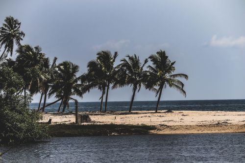 Free Scenic view of a palm-lined tropical beach in Lagos, Nigeria, under the clear daylight. Stock Photo