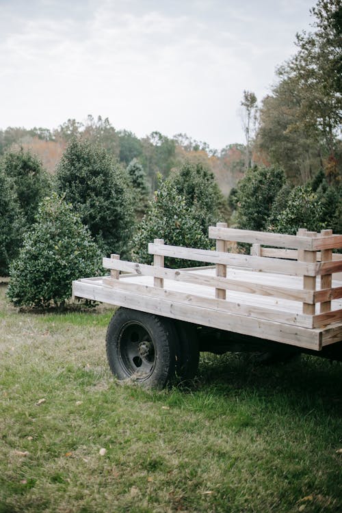 Lumber carriage on fir tree farm