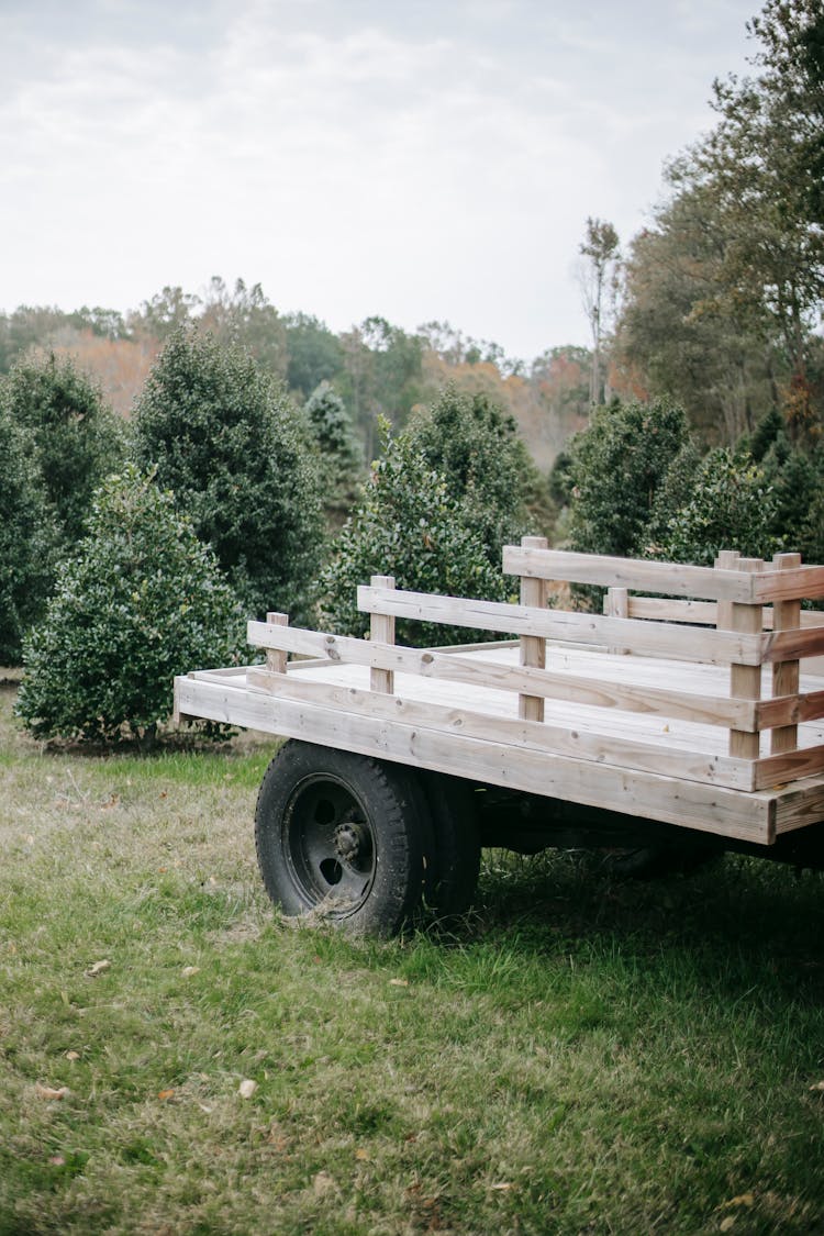 Lumber Carriage On Fir Tree Farm