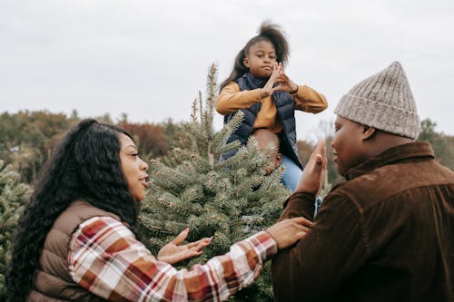 African American family gathering around fir tree and talking while choosing Christmas tree for celebrating holiday