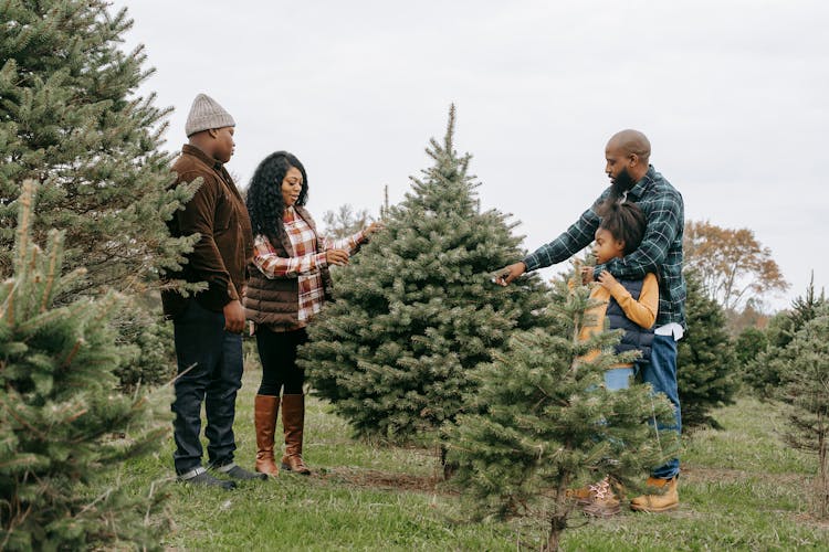 Black Family Standing In Fir Tree Farm