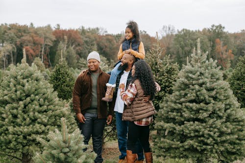 Positive black family preparing for Christmas on tree farm