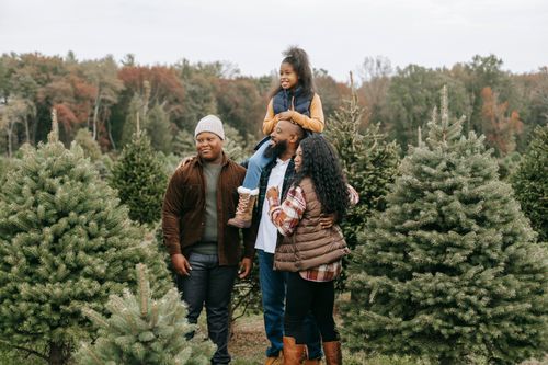 Free Cheerful African American parents and kids standing close while choosing Christmas tree in coniferous cultivated forest Stock Photo