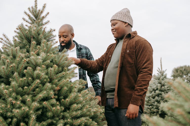 Black Father And Son Picking Christmas Tree