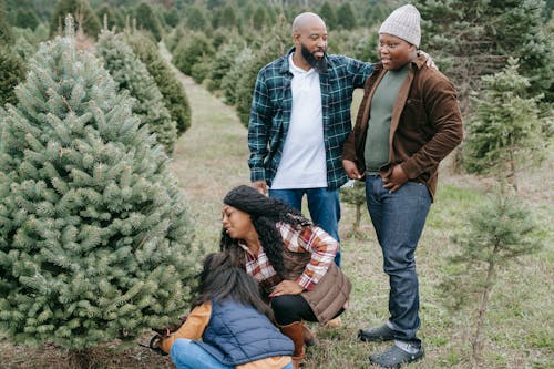 Positive African American dad standing with teen son while females sawing spruce for family Christmas celebration