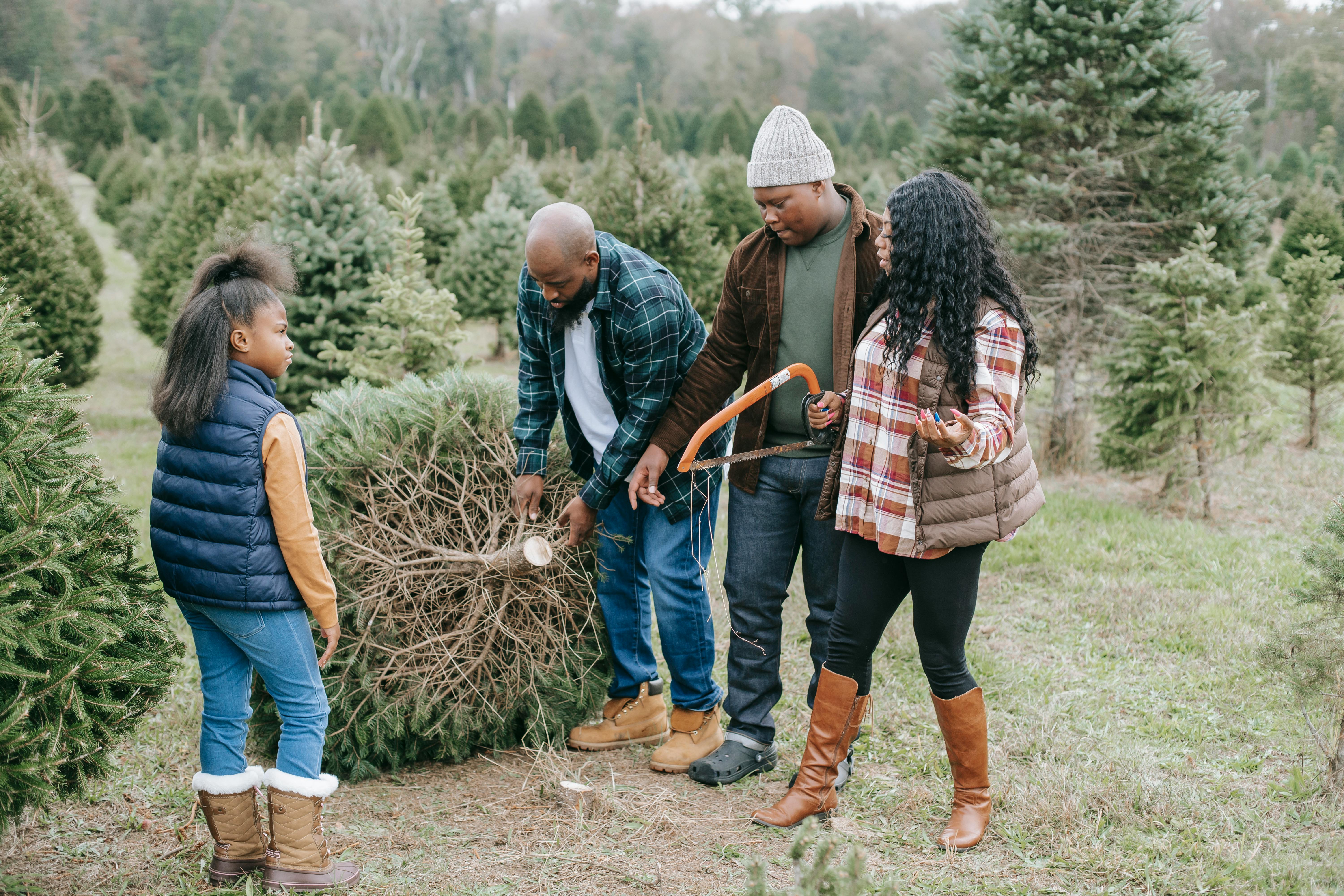 outdoor family christmas photos