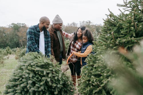 Black family sawing green lush fir tree