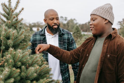 Lachende Zwarte Vader Praten Met Zoon Aanraken Van Naalden Van Sparren