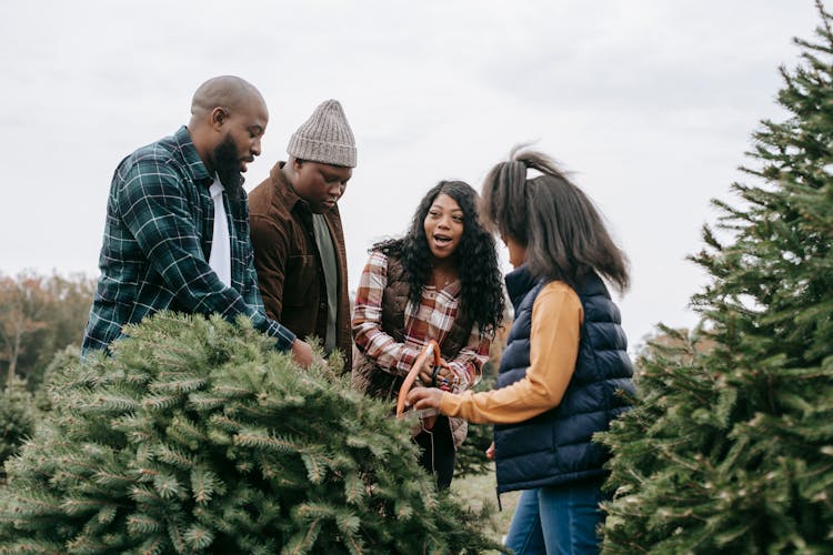 Black Family Cutting Down Fir Tree