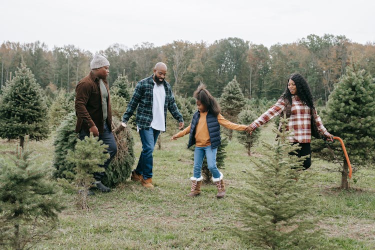 Cheerful Black Family With Christmas Tree In Nature