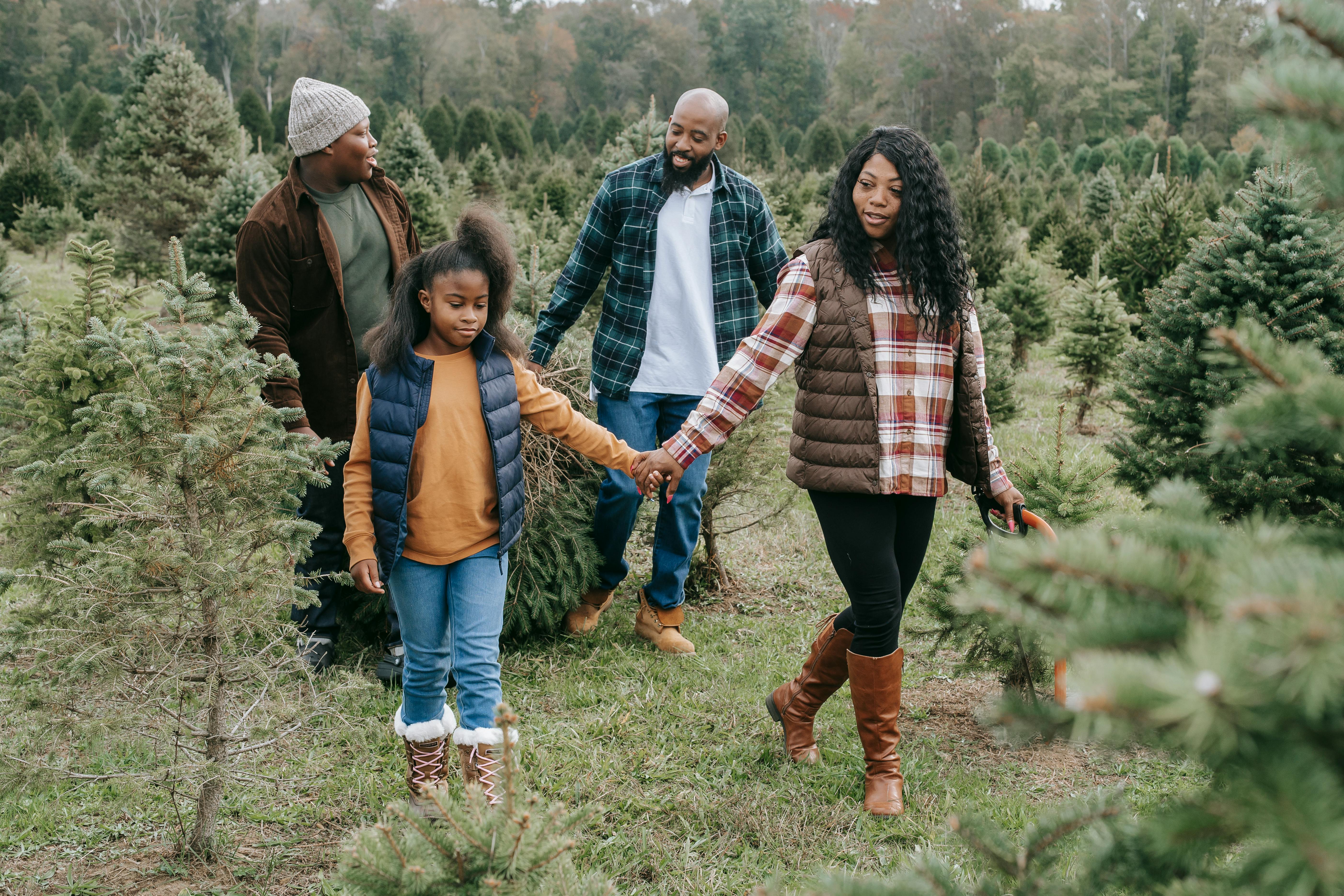 農場放鬆家庭時光