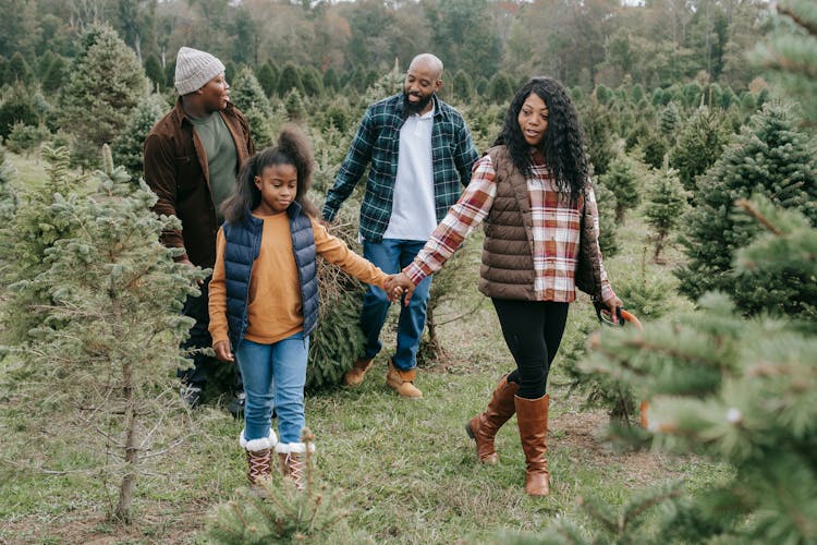 Content Black Family In Field With Firs