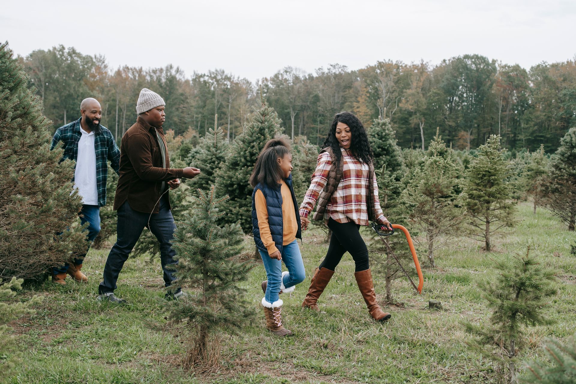 Full body of African American family walking on tree farm with saw while picking fir on Christmas day in nature