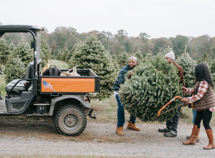 Unrecognizable Black Family Carrying Fir Tree Near ATV On Farm