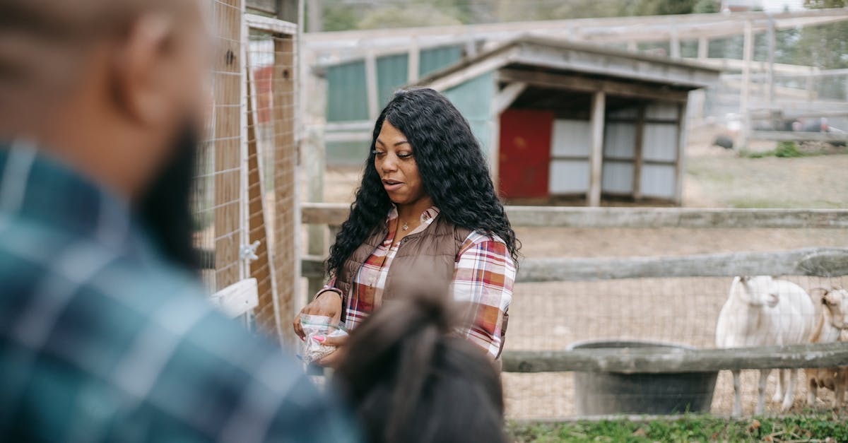Black woman near crop husband and daughter in countryside