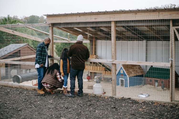 Unrecognizable Black Family Near Fence With Livestock Animals On Farm