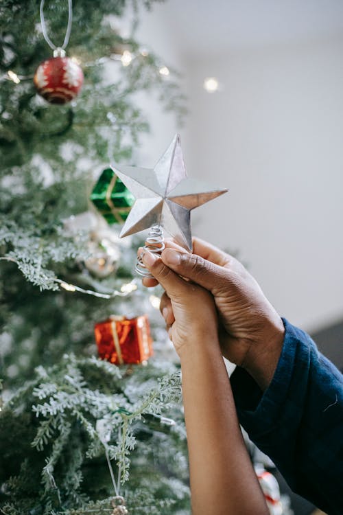 Free Black father decorating Christmas tree with child Stock Photo