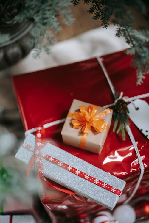 From above of festive Christmas presents with ribbons placed under green branches of fir tree