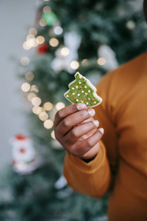 Crop unrecognizable ethnic person demonstrating delicious biscuit in form of fir tree while celebrating New Year holiday