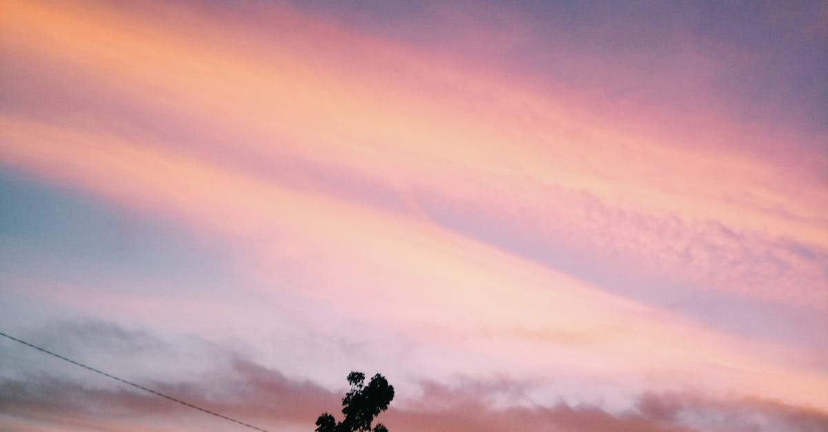 Free stock photo of #sunset #color #landscape #photo #tree #beautiful