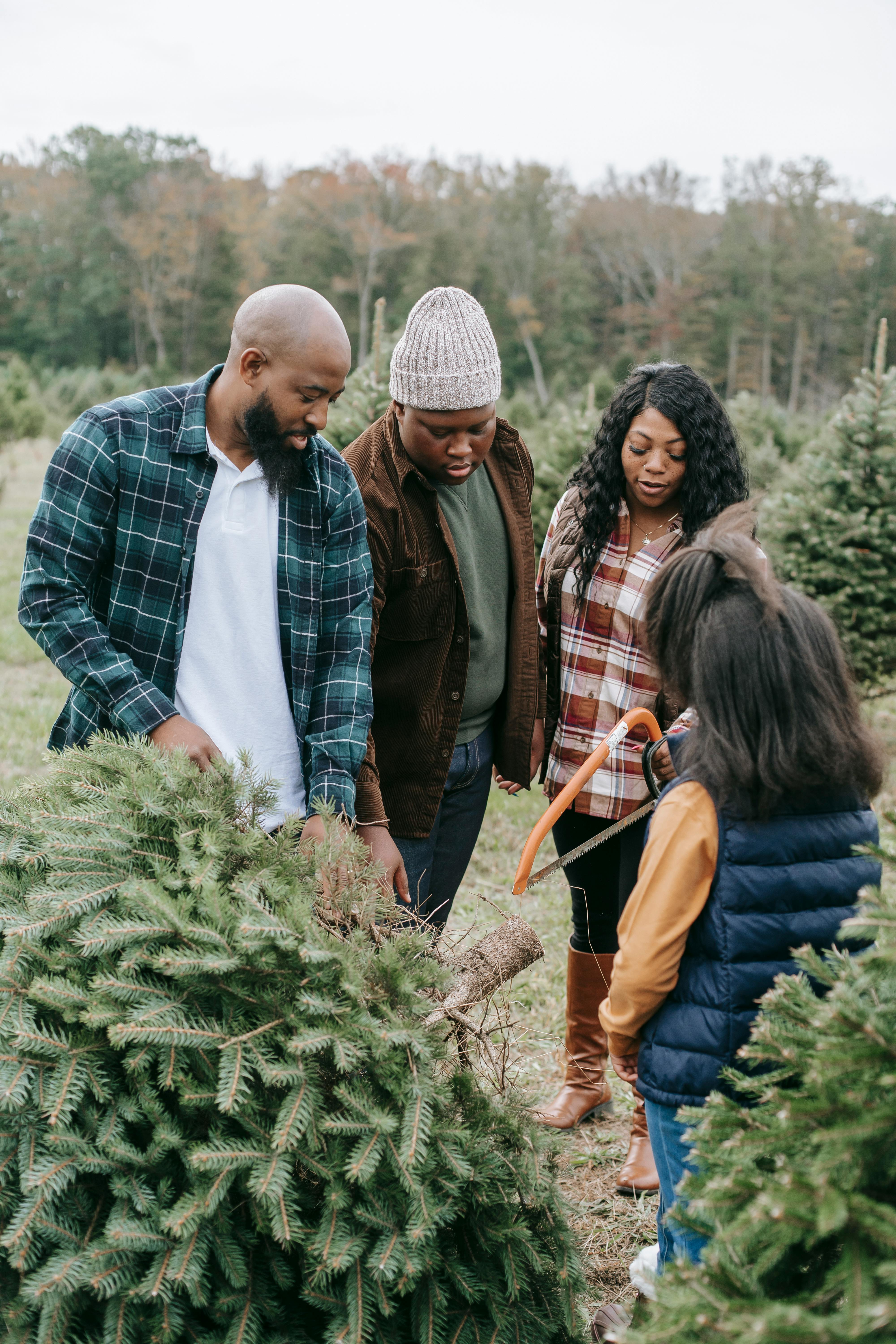 What are the dangers of saw palmetto?