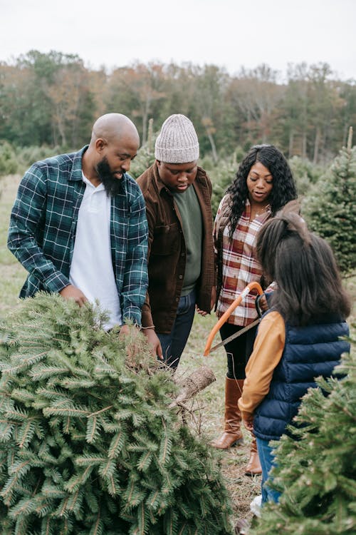 African American family taking part in cutting green coniferous tree with saw in forest