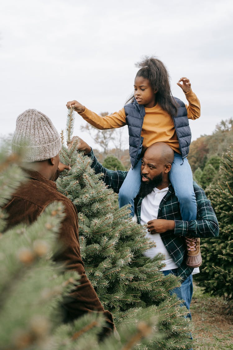 Black Girl Sitting On Neck Of Father And Picking Spruce Tree