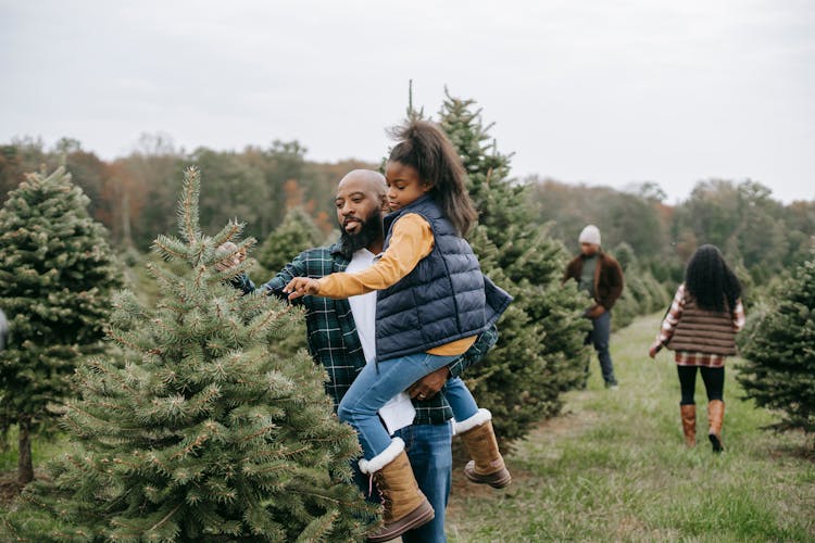 Black Man Carrying Cute Little Girl And Picking Hing Spruce