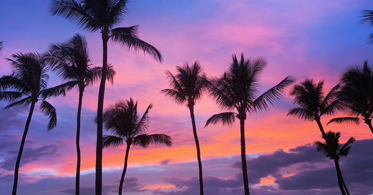 Photo by Shaylon Elmore Vibrant sunset behind palm trees on a tropical beach in Kihei, Hawaii. Perfect for travel and nature visuals.