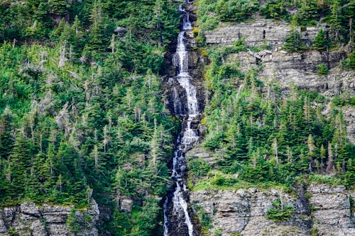 Free Waterfall and Forest on Mountainside Stock Photo