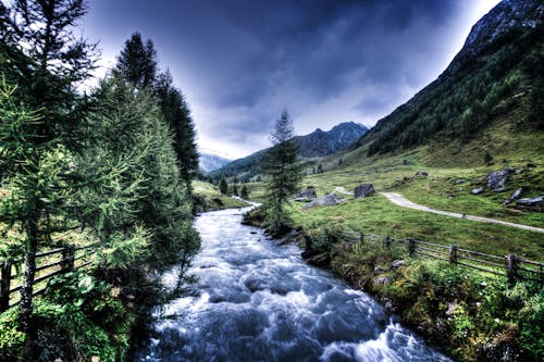 Free River Between Trees and Mountain Stock Photo