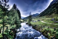 山谷间，河流静静流淌，绿树成荫，松树繁茂