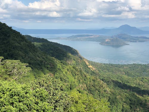 taallake içeren Ücretsiz stok fotoğraf