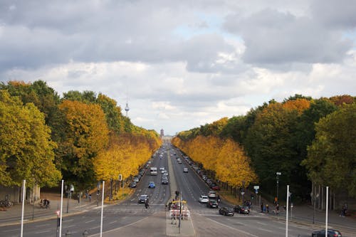 Imagine de stoc gratuită din arbori, Berlin, bulevard