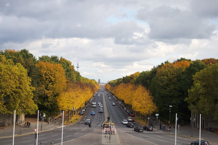 Tiergarten In Berlin