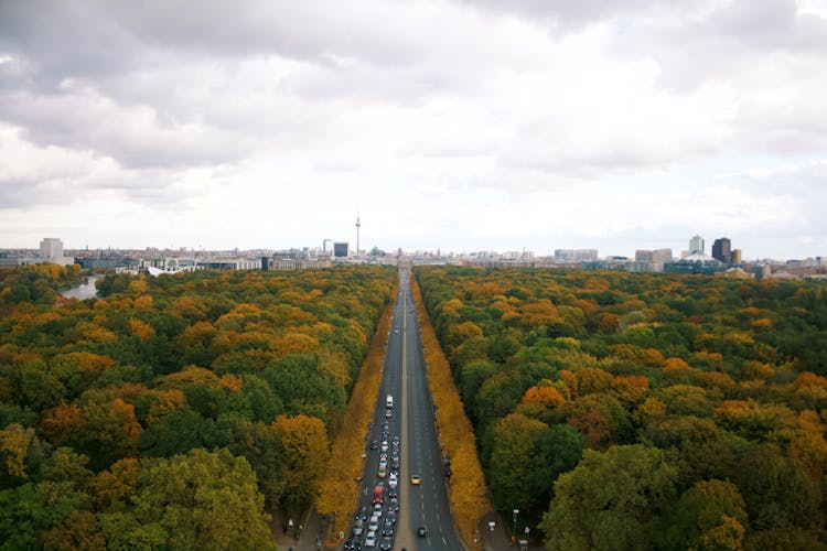 High Angle View Of Tiergarten In Berlin