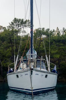 A sailboat is docked peacefully near a forested shoreline, offering a tranquil scene.
