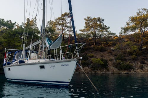 A Sailboat in a Lake