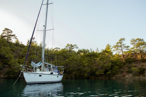 A Sailboat in a Lake