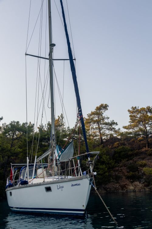 White Sail Boat on Body of Water Near the Trees · Free Stock Photo