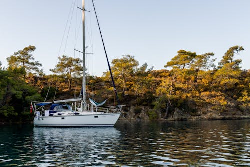 Side View of a Sailboat in a Lake