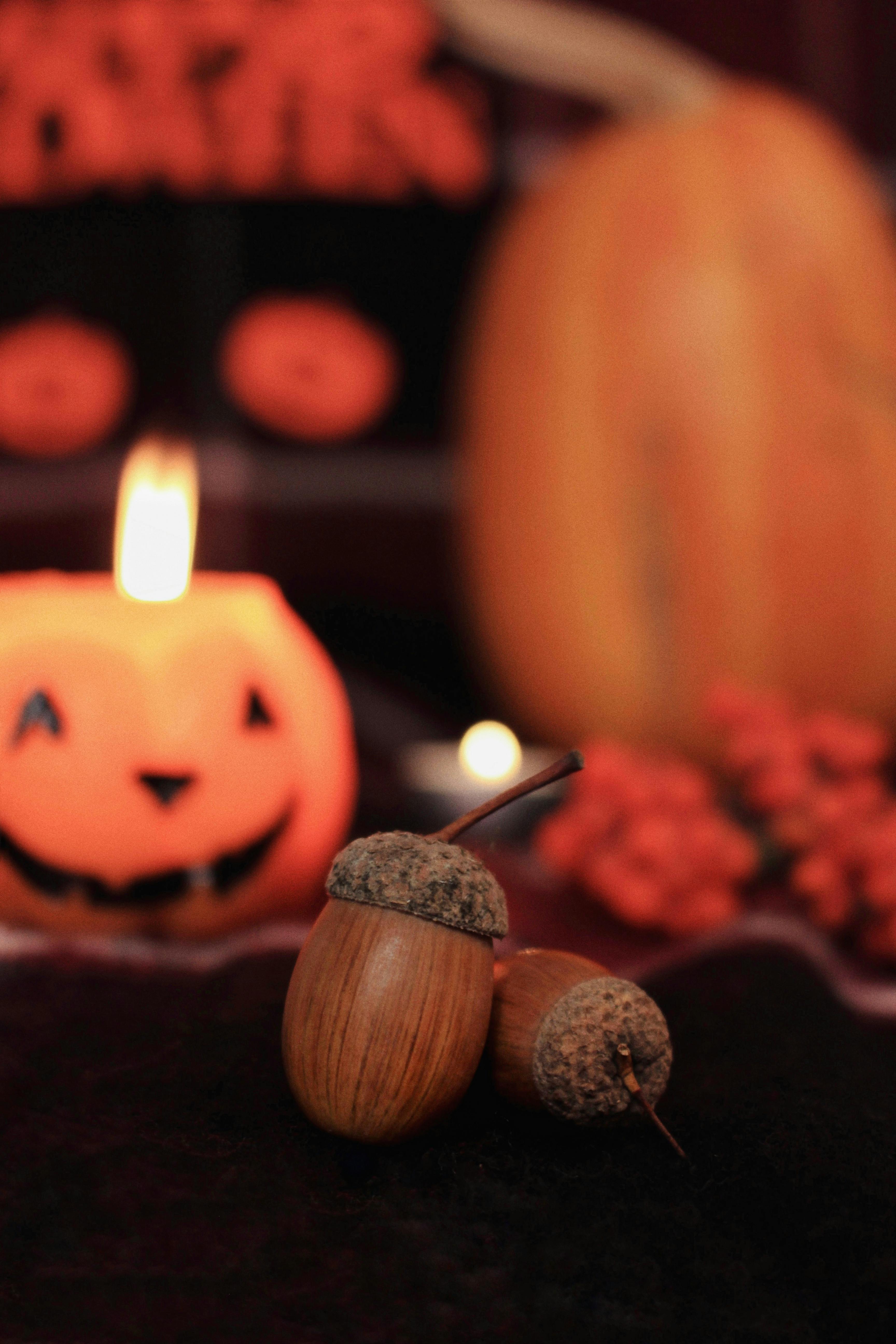 特写镜头中，带有万圣节装饰的橡子，背景模糊，南瓜灯亮起